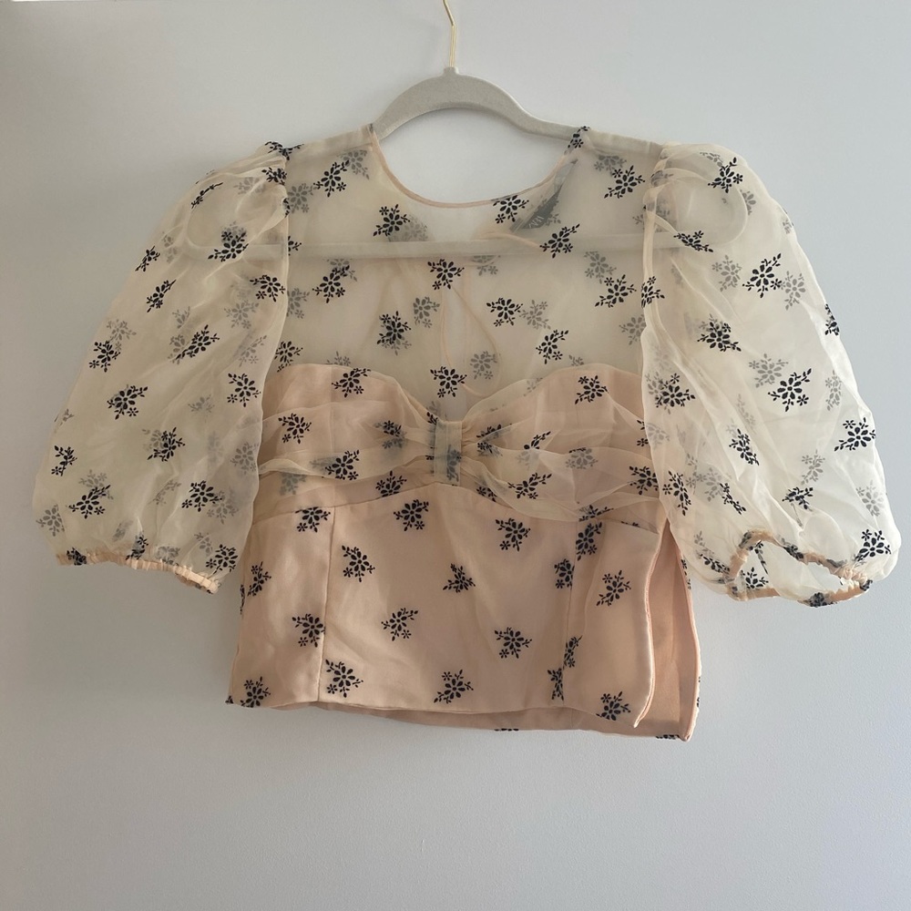 ZARA Blush Mesh Top with Puffy Sleeves
